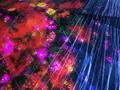 【閉業】森ビルデジタルアートミュージアム：エプソン チームラボボーダレス（MORI Building Digital Art Museum: EPSON teamLab Borderless）の写真_342769