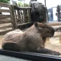 アクア・トトぎふの写真_342841