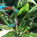 アクア・トトぎふの写真_342844