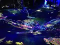【閉業】森ビルデジタルアートミュージアム：エプソン チームラボボーダレス（MORI Building Digital Art Museum: EPSON teamLab Borderless）の写真_342916