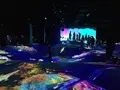 【閉業】森ビルデジタルアートミュージアム：エプソン チームラボボーダレス（MORI Building Digital Art Museum: EPSON teamLab Borderless）の写真_343093