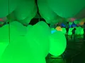 【閉業】森ビルデジタルアートミュージアム：エプソン チームラボボーダレス（MORI Building Digital Art Museum: EPSON teamLab Borderless）の写真_343211
