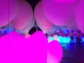 【閉業】森ビルデジタルアートミュージアム：エプソン チームラボボーダレス（MORI Building Digital Art Museum: EPSON teamLab Borderless）の写真_343212