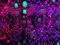 【閉業】森ビルデジタルアートミュージアム：エプソン チームラボボーダレス（MORI Building Digital Art Museum: EPSON teamLab Borderless）の写真_343324