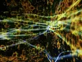 【閉業】森ビルデジタルアートミュージアム：エプソン チームラボボーダレス（MORI Building Digital Art Museum: EPSON teamLab Borderless）の写真_343329