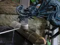 等々力渓谷の写真_344956