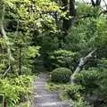 根津美術館の写真_345234