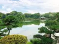 清澄庭園の写真_345587