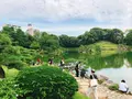 清澄庭園の写真_345588