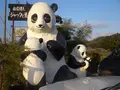 ジャックと豆の樹の写真_345619