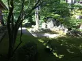 多賀大社の写真_345712