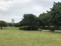 都立潮風公園の写真_345810