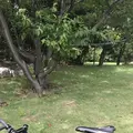 都立潮風公園の写真_345811