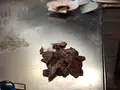 ステーキハウス梶の写真_346528