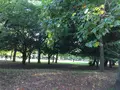 清澄公園の写真_346587