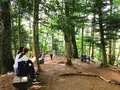 高尾山の写真_347788