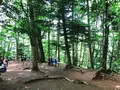 高尾山の写真_347792