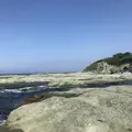 黄金崎不老ふ死温泉の写真_348343