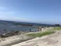 黄金崎不老ふ死温泉の写真_348344