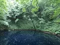 黄金崎不老ふ死温泉の写真_348345