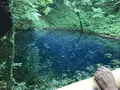 黄金崎不老ふ死温泉の写真_348346