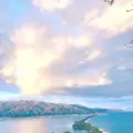 天橋立の写真_348395