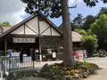 鳴沢氷穴の写真_348412