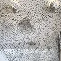 ラコリーナ近江八幡の写真_348886