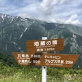 白馬五竜高山植物園の写真_349006