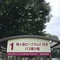 駒ヶ岳ロープウェイ 千畳敷駅の写真_349333