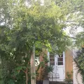 クルートの写真_384066
