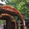 深大寺の写真_403655