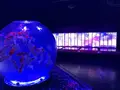 日本橋三井ホールの写真_403944