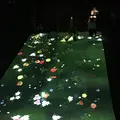 【閉業】森ビルデジタルアートミュージアム：エプソン チームラボボーダレス（MORI Building Digital Art Museum: EPSON teamLab Borderless）の写真_403963
