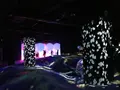 【閉業】森ビルデジタルアートミュージアム：エプソン チームラボボーダレス（MORI Building Digital Art Museum: EPSON teamLab Borderless）の写真_403964