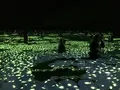 【閉業】森ビルデジタルアートミュージアム：エプソン チームラボボーダレス（MORI Building Digital Art Museum: EPSON teamLab Borderless）の写真_403967