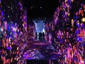 【閉業】森ビルデジタルアートミュージアム：エプソン チームラボボーダレス（MORI Building Digital Art Museum: EPSON teamLab Borderless）の写真_403971
