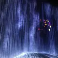【閉業】森ビルデジタルアートミュージアム：エプソン チームラボボーダレス（MORI Building Digital Art Museum: EPSON teamLab Borderless）の写真_403972