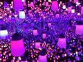 【閉業】森ビルデジタルアートミュージアム：エプソン チームラボボーダレス（MORI Building Digital Art Museum: EPSON teamLab Borderless）の写真_403973