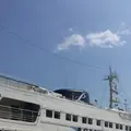 日本大通りの写真_406190