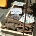 宮川朝市の写真_406336
