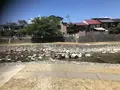 宮川朝市の写真_406338