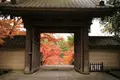 円覚寺の写真_407408