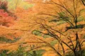 円覚寺の写真_407409