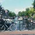 アムステルダム（Amsterdam）の写真_407944