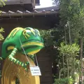 小江戸川越一番街商店街 蔵造りの町並みの写真_408100