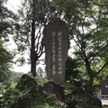 霧島神宮の写真_410145
