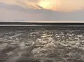 父母ヶ浜海岸の写真_411751
