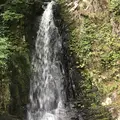 県立自然公園宇津江四十八滝の写真_412249