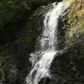 県立自然公園宇津江四十八滝の写真_412252